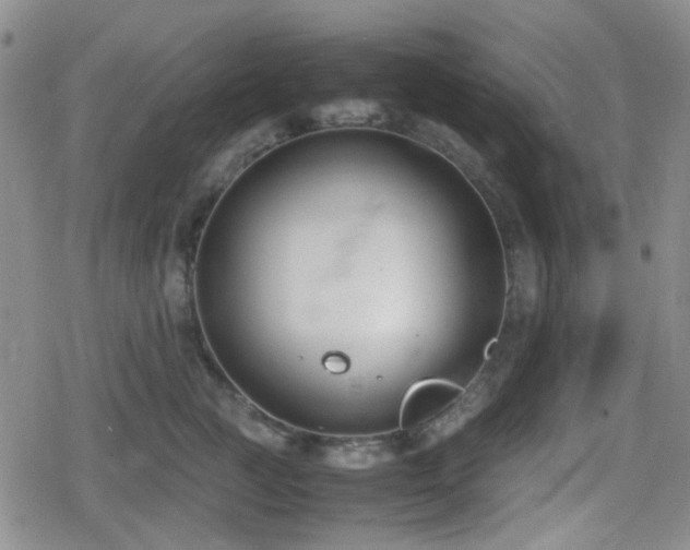 X0000080710761200612151134