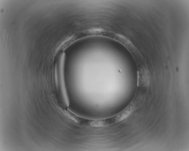 X0000080710762200612151134