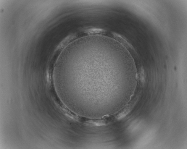 X0000080710763200612151134