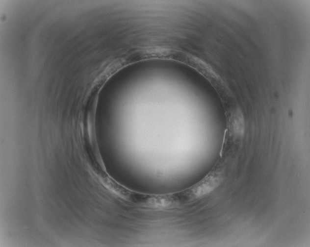 X0000080710764200612151134