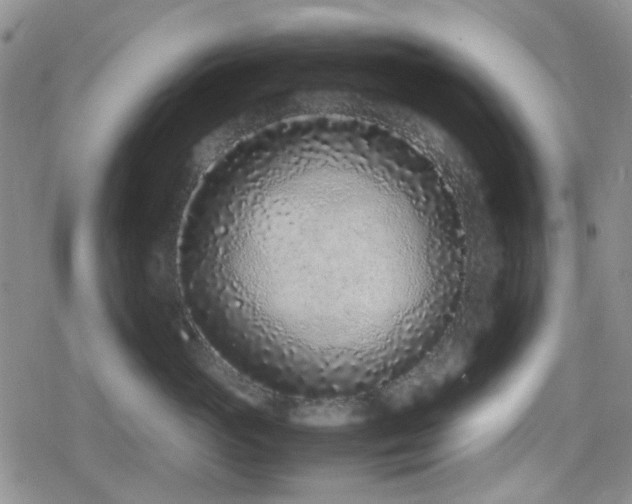 X0000080710765200612151134