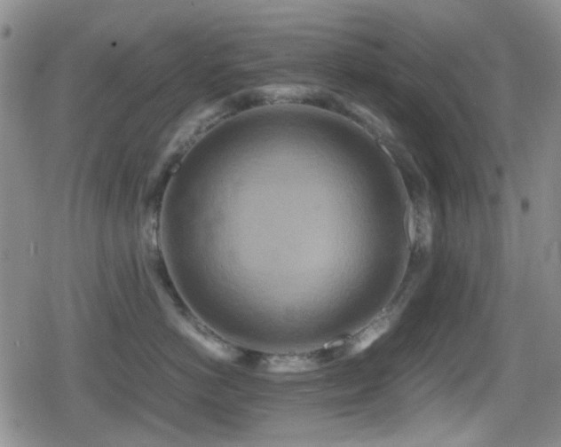 X0000080710766200612151134