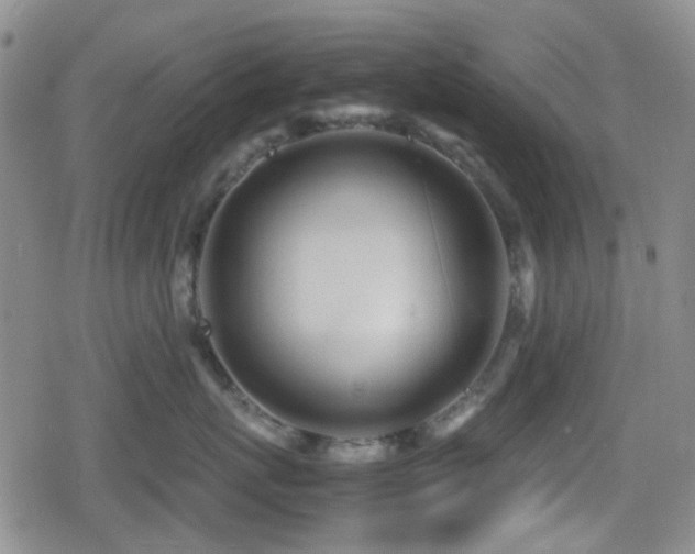 X0000080710767200612151134