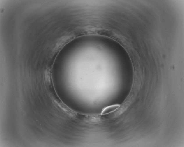 X0000080710768200612151134