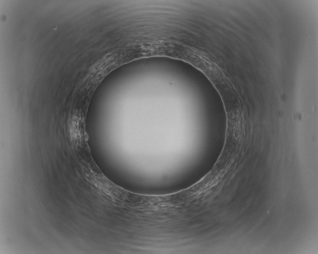 X0000080710770200612151133