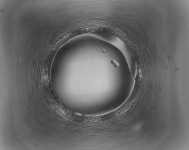 X0000080710771200612151133