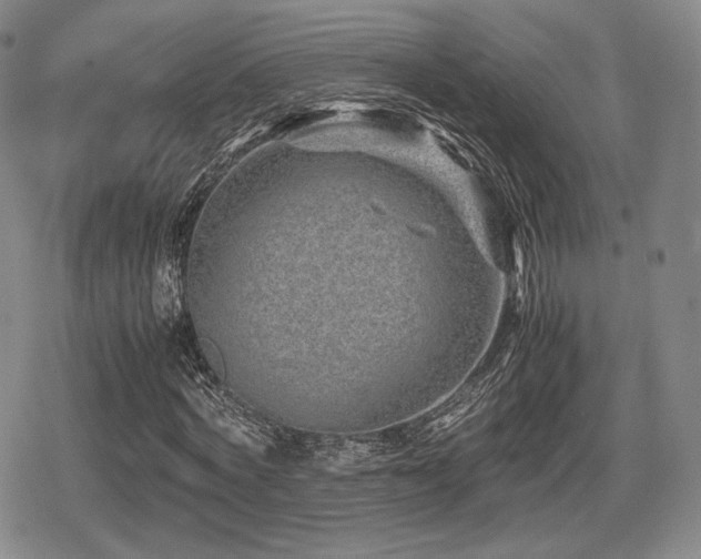 X0000080710772200612151133