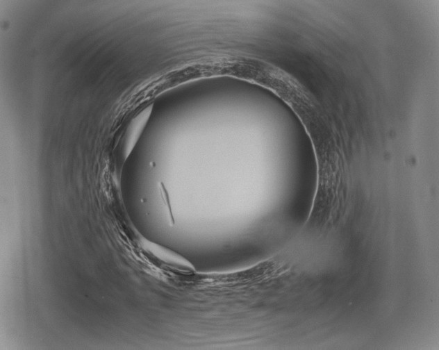 X0000080710773200612151133