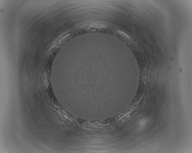 X0000080710774200612151133