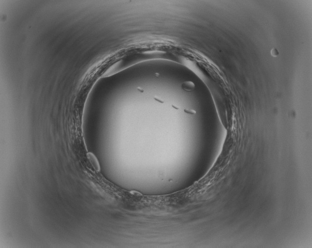 X0000080710775200612151133