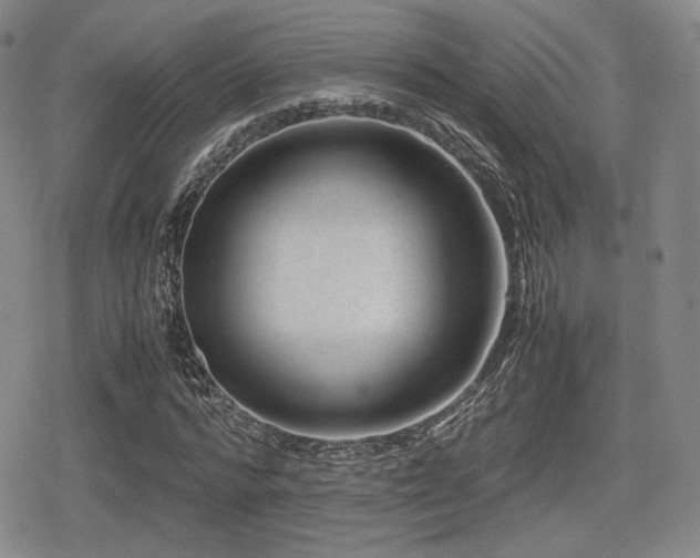 X0000080710776200612151133