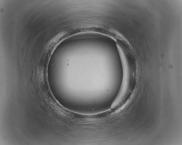 X0000080710777200612151133