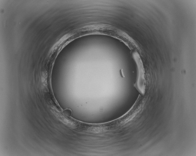 X0000080710778200612151133