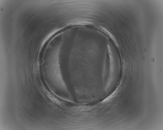 X0000080710779200612151133