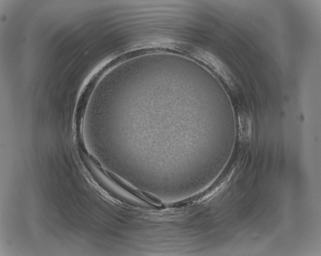 X0000080710780200612151133