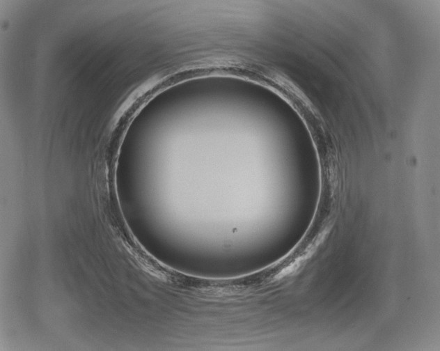 X0000080710781200612151133