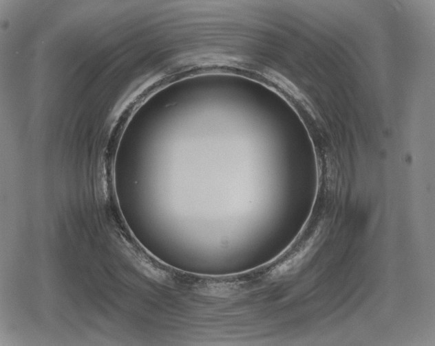 X0000080710782200612151133