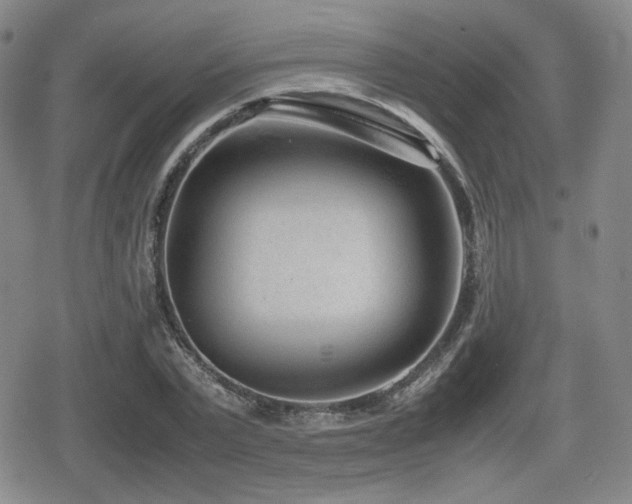 X0000080710783200612151133