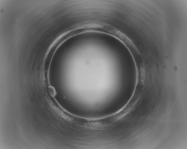 X0000080710784200612151133