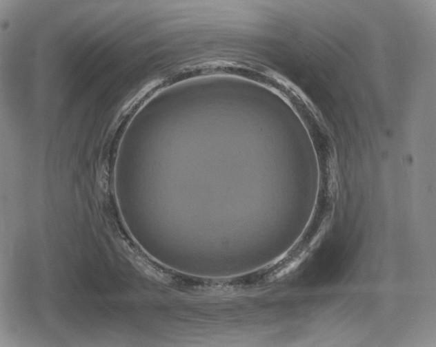 X0000080710785200612151133