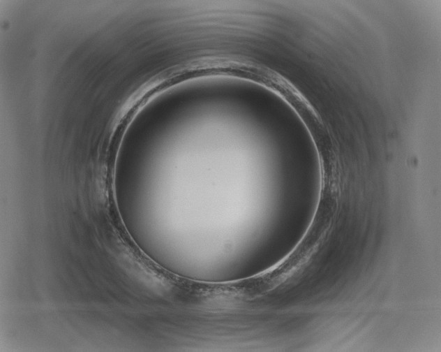 X0000080710786200612151133