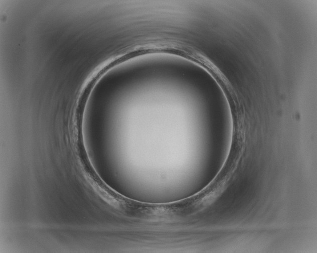 X0000080710787200612151133