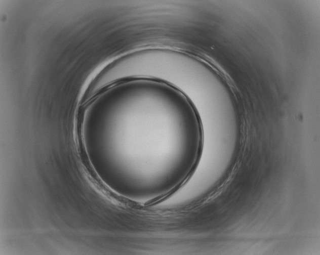 X0000080710788200612151133