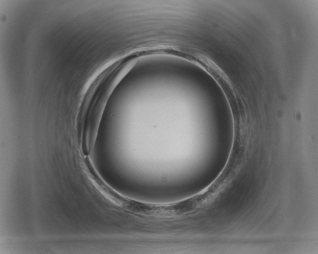 X0000080710789200612151133