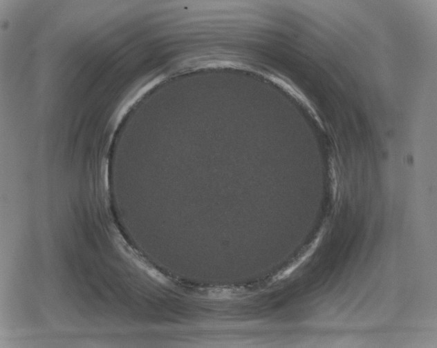 X0000080710790200612151132