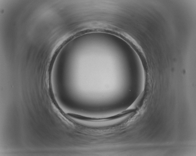 X0000080710791200612151132