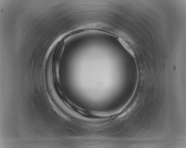 X0000080710792200612151132