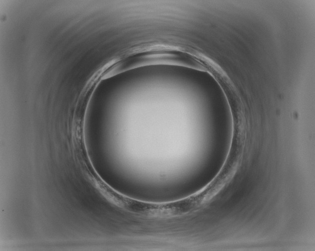 X0000080710793200612151132