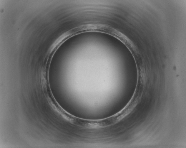 X0000080710794200612151132