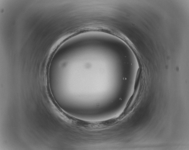 X0000080710795200612151132