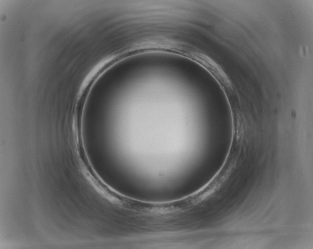 X0000080710796200612151132