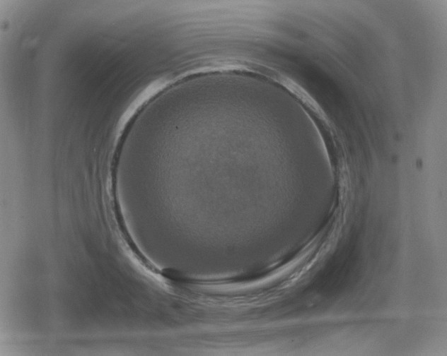 X0000080710797200612151132