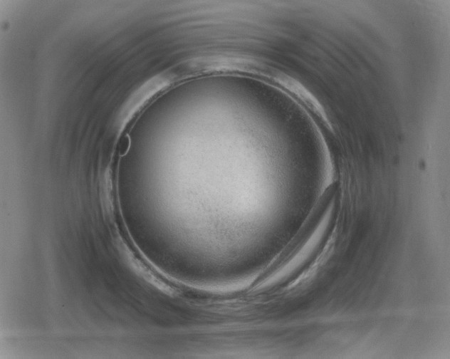 X0000080710798200612151132