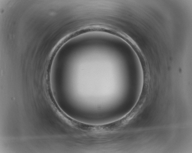 X0000080710799200612151132