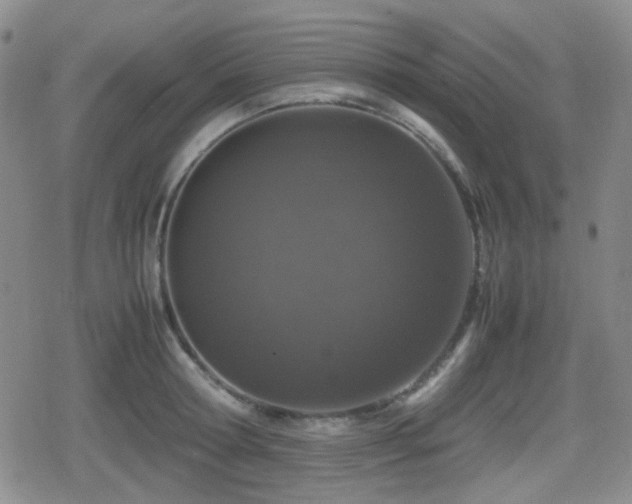 X0000080710802200612151132