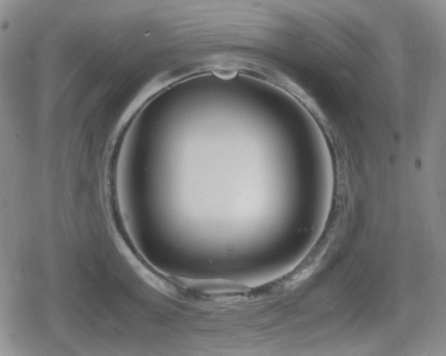 X0000080710803200612151132