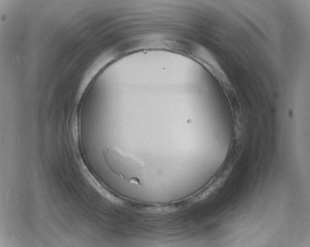 X0000080710804200612151132