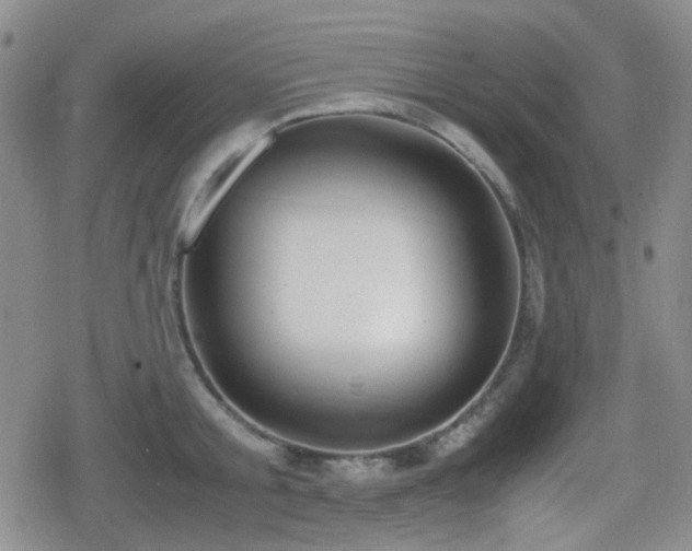 X0000080710805200612151132