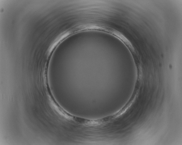 X0000080710806200612151132