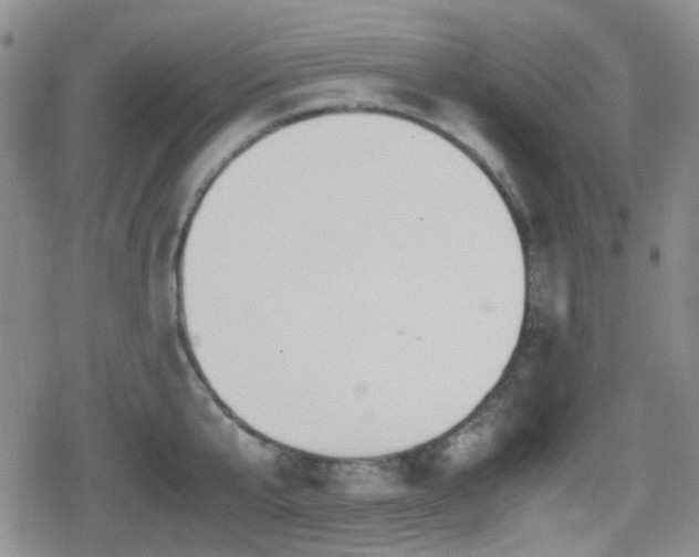 X0000080710807200612151132