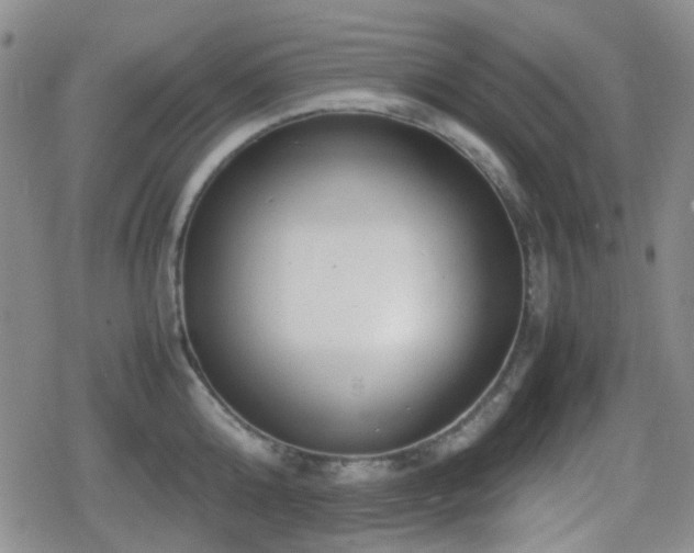 X0000080710808200612151132