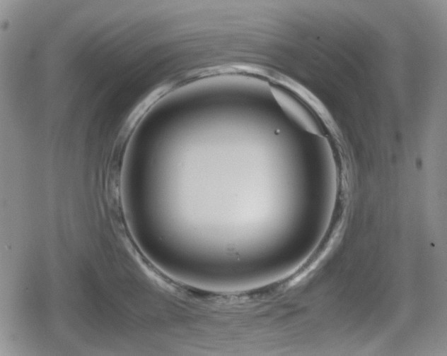 X0000080710809200612151132