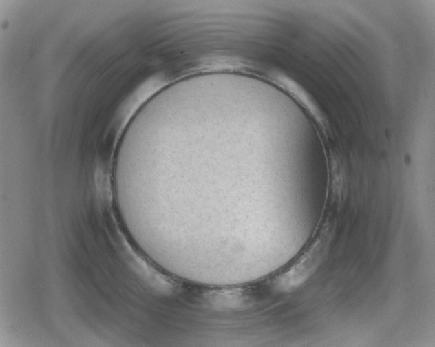 X0000080710810200612151132