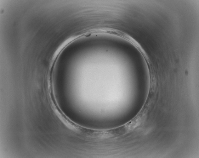 X0000080710811200612151132