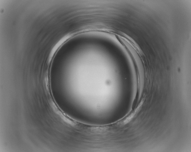 X0000080710812200612151132