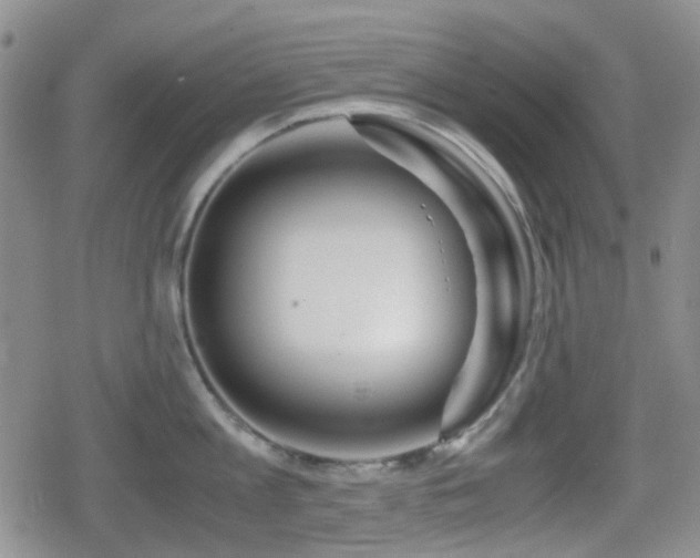 X0000080710813200612151132